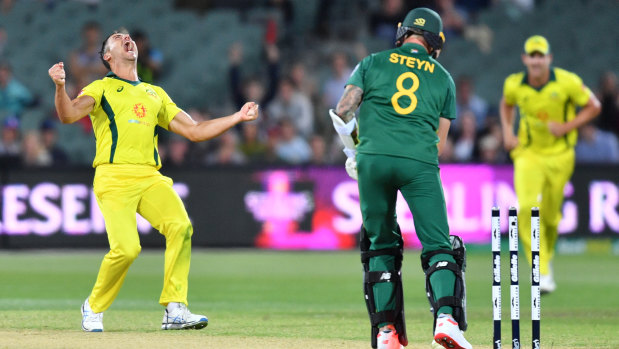 Late blows: Marcus Stoinis reacts after dismissing Dale Steyn.