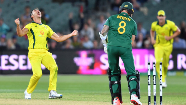Turning things around: Marcus Stoinis reacts after dismissing Dale Steyn. It was Australia's first ODI win since January.
