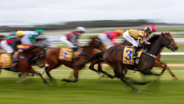 Country races await in Grafton on Monday.
