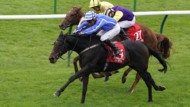 Stratum wins the 2019 Emirates Cesarewitch Stakes at Newmarket.