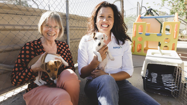 ACT Greens transport spokesperson Caroline Le Couteur, and RSPCA ACT CEO Tammy Ven Dange are calling for pets to be allowed on Canberra's public buses.