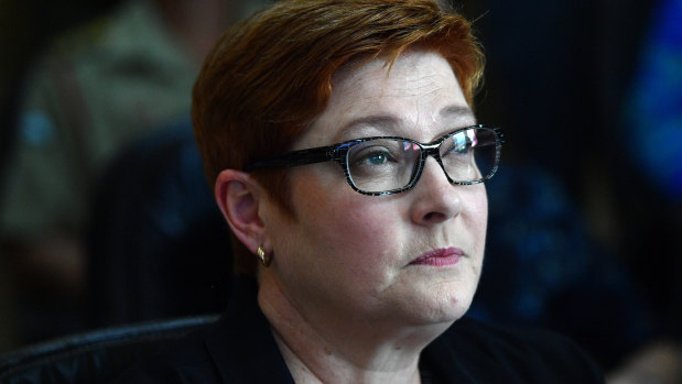 Marise Payne expressed Australia's concerns to the Turkish Foreign Minister on Sunday.