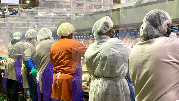 Tyson Foods, workers wear protective masks and stand between plastic dividers at the company's Camilla, Georgia poultry processing plant.
