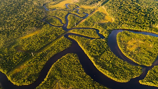 The Brazilian Amazon. 