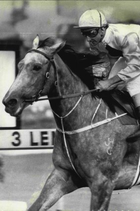 Champion galloper Emancipation, known around the stable as Mildred, was trained by Grahame Begg's father Neville Begg.