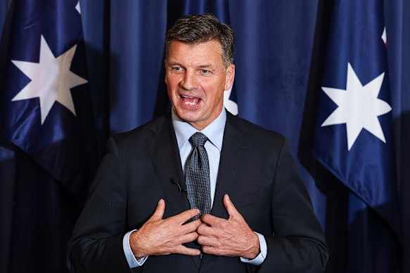 New Liberal leader Angus Taylor.