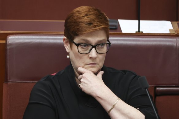 Minister for Women Marise Payne said sexual harassment was a “whole of Australia workplace issue”. 