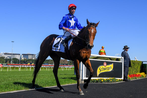The group 1 prestige may have to wait but Rubisaki will chase big money with a Golden Eagle campaign in the spring.