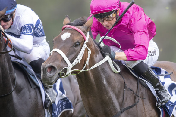 High Low Bet, pictured here winning  at Warwick Farm last month, is the top pick in race 5.