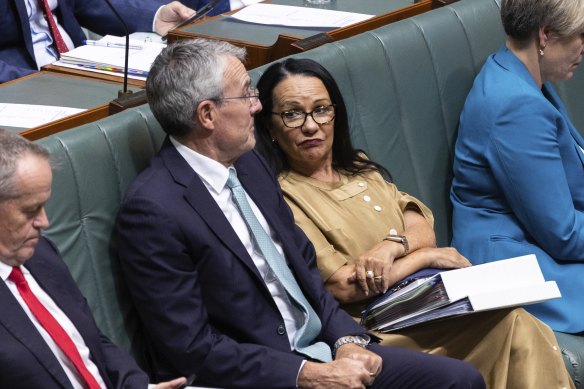 Attorney-General Mark Dreyfus and Indigenous Australians Minister Linda Burney yesterday. 