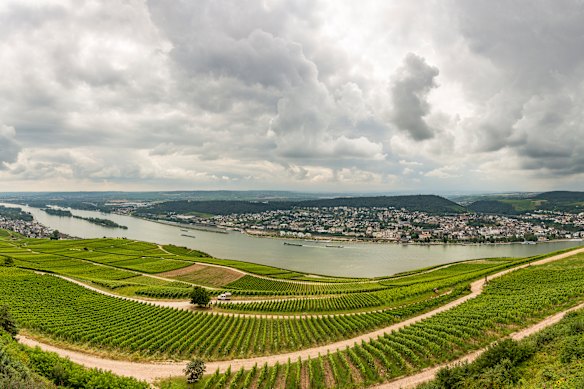 The panoramic view over the Rhine river from the Niederwald monument near Ruedesheim, Germany. 