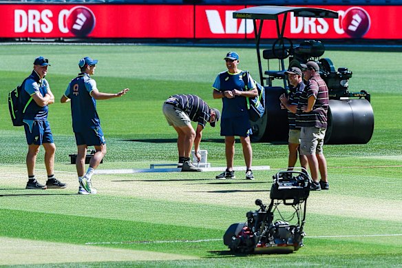 Pat Cummins inspects the Adelaide Oval pitch on Tuesday. 