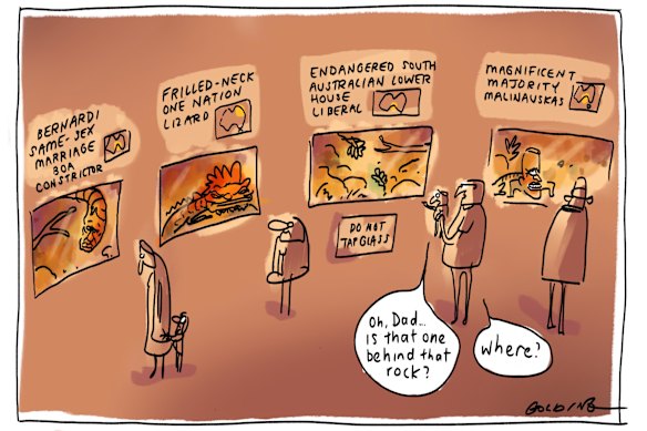 Disenchanted, despairing voters seek signs of hope