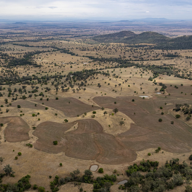 The Liverpool Plains near Gunnedah are blessed with black soils and reliable rains.