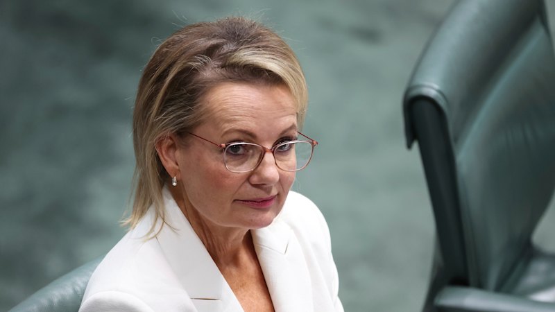 Australia news LIVE: Liberal Party net zero debate rages on; Trump threatens to sue the BBC; Delhi car blast kills eight, injures 20