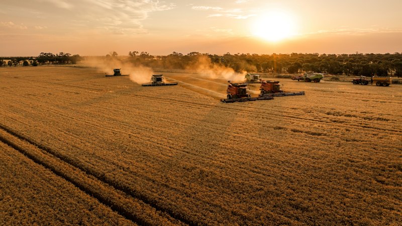 Perichs’ dairy giant hands on Vic farm to Qld egg producer