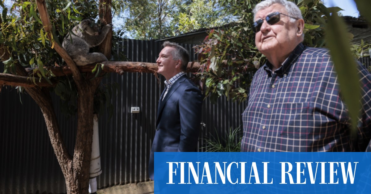 Controversial carbon credits supply to be limited - Vimarsana News