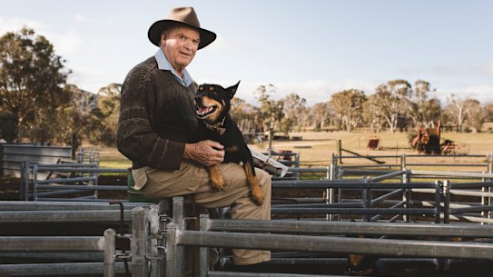 ACT government to announce financial assistance for struggling farmers