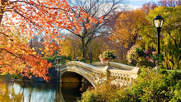 Central Park.