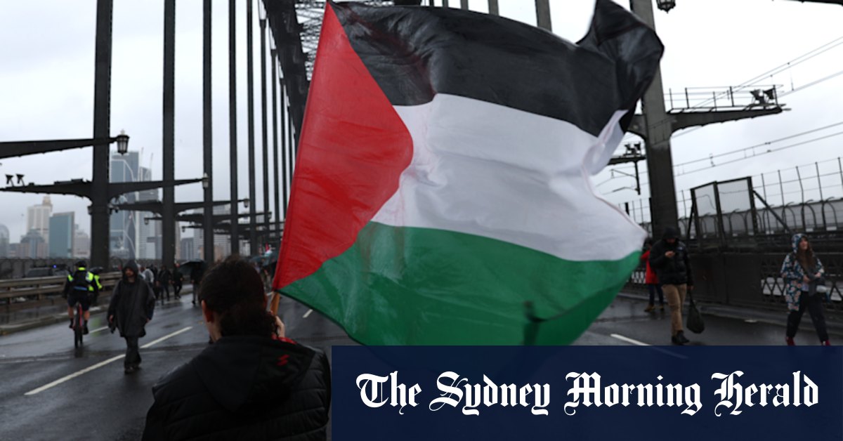 ‘I couldn’t stay silent’: Pro-Israel group accused of racial vilification