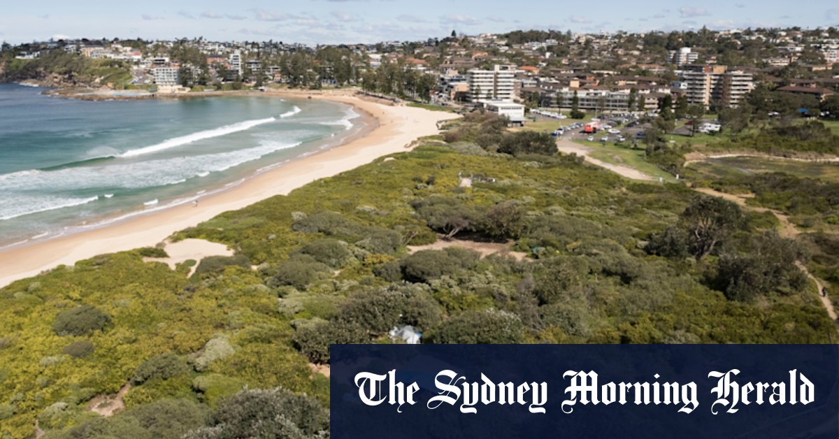 Northern Beaches Council considers tearing down Dee Why Beach homeless camp - Vimarsana News