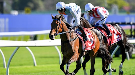 Proxima Dea after winning the Spring Champion Stakes.