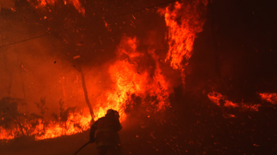 “All indications are it’s going to be a bad year," says Dr Thornton.