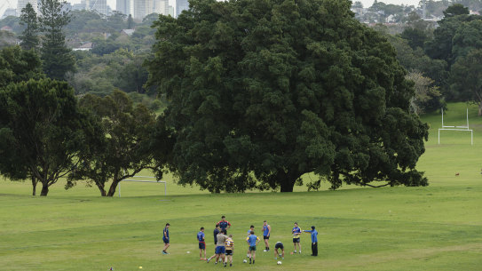 Labor would increase the 
City of Sydney green space by half by mid-century if they are to win control over the local council.