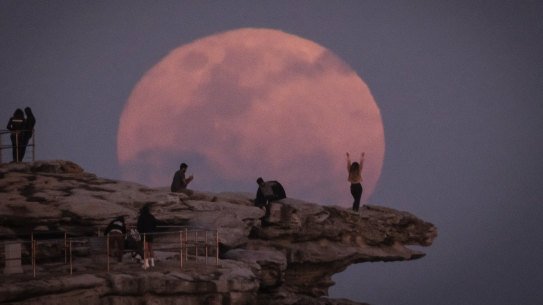 Brook Mitchell captured the rare “super blue moon” as it rose over Bondi Beach.