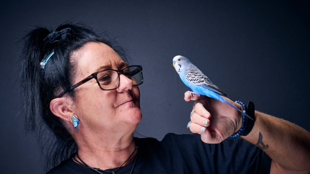 Meet the budgie coming to Melbourne that speaks a First Nations language
