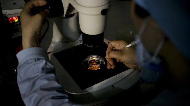 Ruling that frozen embryos are children sparks fight over women’s reproductive rights