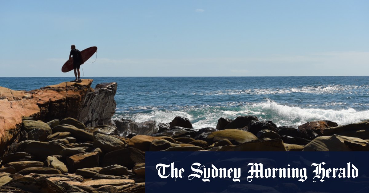 Avoca shark attack Avoca, North Avoca beaches closed after surfer bitten