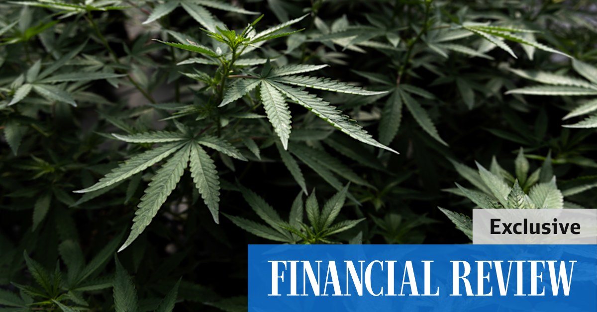 Exiled fintech iSignthis linked to collapse of European cannabis investing platform Juicy Fields - Vimarsana News