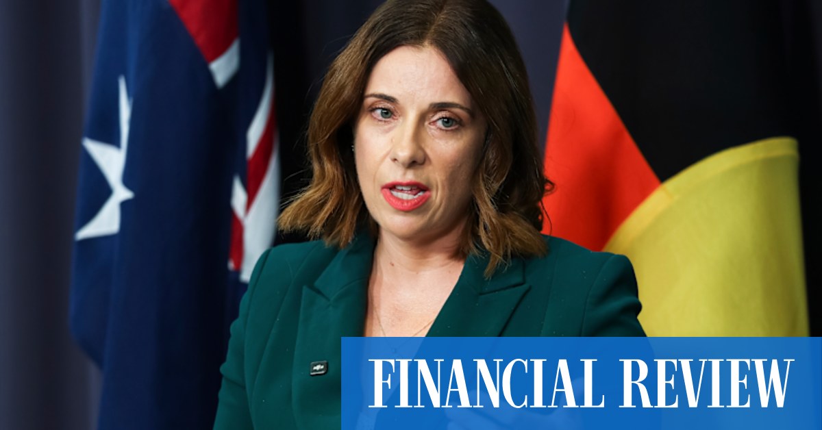 Communications Minister Anika Wells has accused some big tech companies of trying to make Australia’s world-first laws fail.