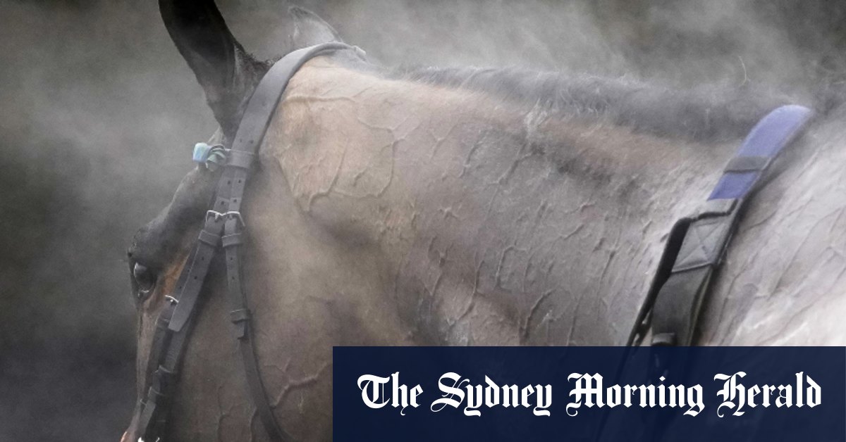 Race-by-race guide and tips for Moruya races on Wednesday