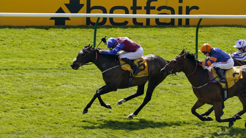 Betfair live sports streams cheap