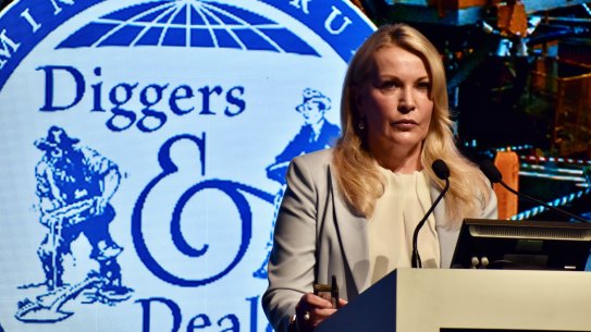 Fortescue Metals Group chief executive Elizabeth Gaines. 