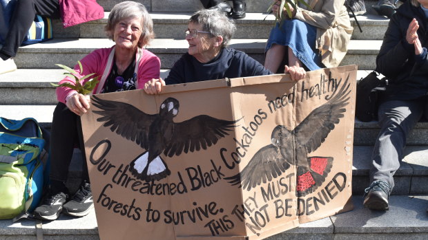 Perth activists call for ban on mining in the jarrah forest at national rally