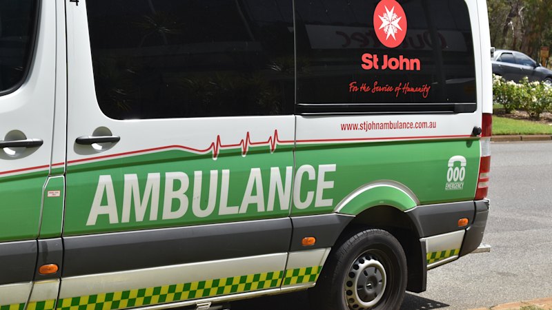 Man, 35, dies after being bitten by shark off coast of Albany