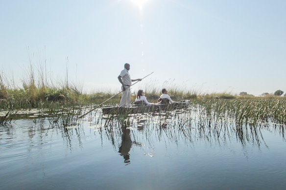Gliding through the reeds of the Okavango Delta on a traditional mokoro.