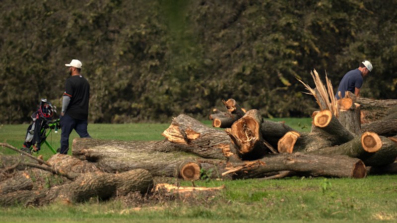 Judge orders Trump administration to answer for tree removals at Washington DC golf course