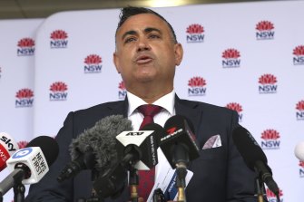 Acting NSW Premier John Barilaro addresses the media during a press conference this week.