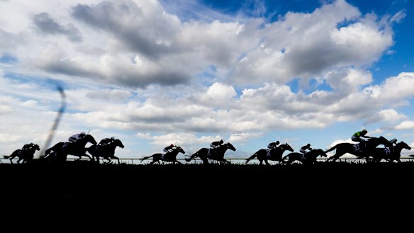 Wyong five-year-old Perfect Style looms as Tallis' primary threat in race 5.