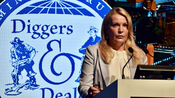 Fortescue Metals Group chief executive Elizabeth Gaines. 