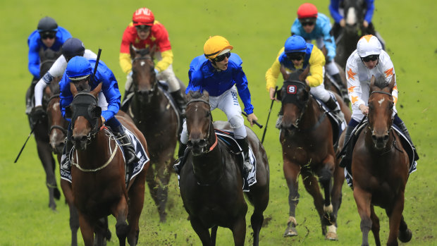 Crystal Falls last year ran second to Golden Slipper winner Kiamichi (pictured here sporting the golden cap).