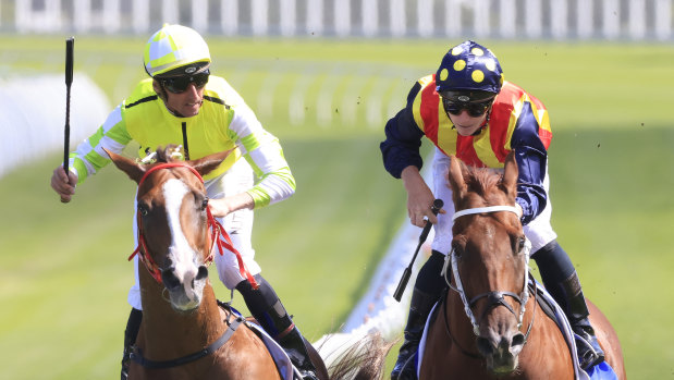 Eduardo (left) and Nature Strip will clash in the Lightning Stakes.