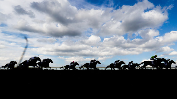 Racing at Wagga.