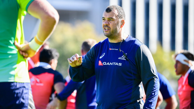Orders: Michael Cheika gives instructions at Wallabies training ahead of the Bledisloe Cup opener in Sydney. 