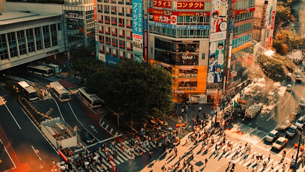A Japan highlights tour will take in geography, botany … and Tokyo’s Shibuya Crossing.
