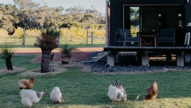 Barn Hives in Yallingup is an ideal base for exploring the Margaret River region’s food and wine scene.